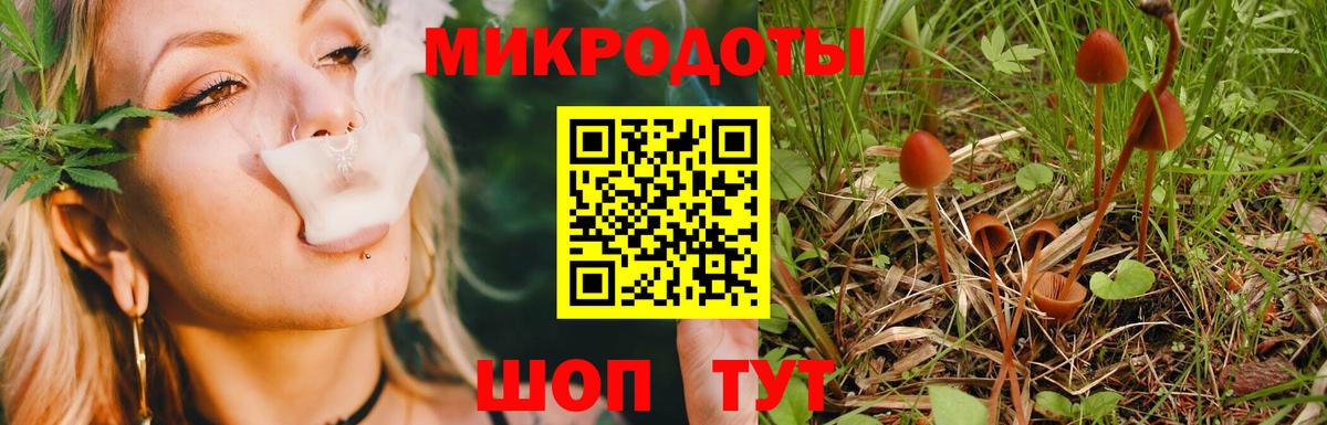 закладки  Псилоцибиновые грибы мухоморы  Псилоцибиновые грибы прущие грибы  Вход с VPN  Новоуральск 